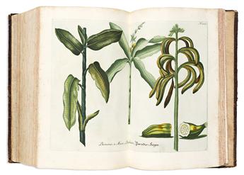 (BOTANICAL.) Johann Wilhelm Weinmann. Phytanthoza Iconographia. Vol. 1 A-B.